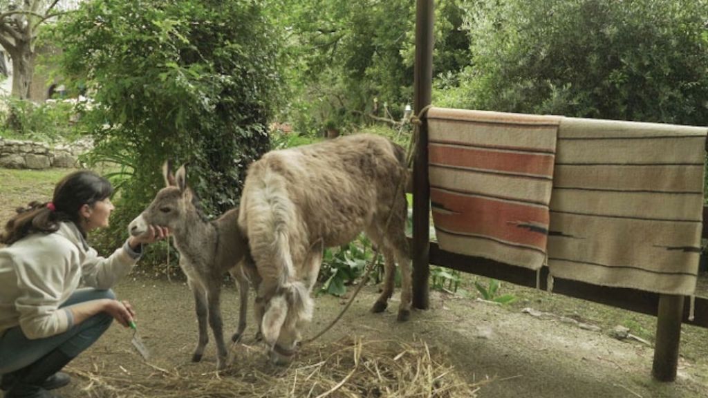 Anteprima “Nanà”, Elisa Flaminia Inno alla rassegna “Cinema al femminile”